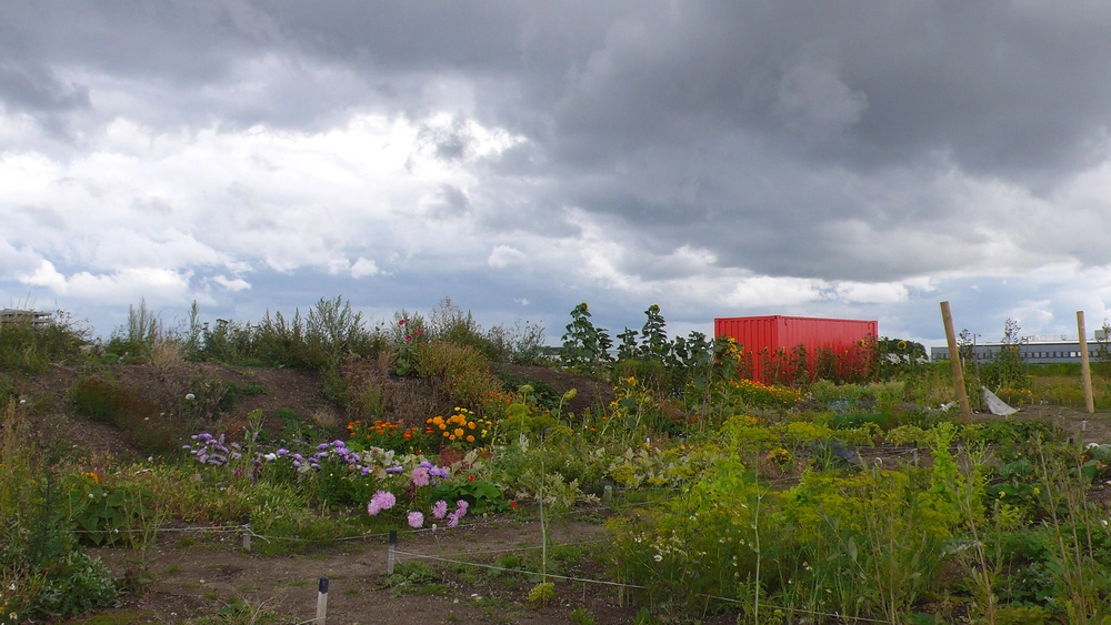 Plug N Play Vildnis og struktur