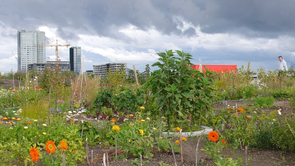 Plug N Play Nyttehaver