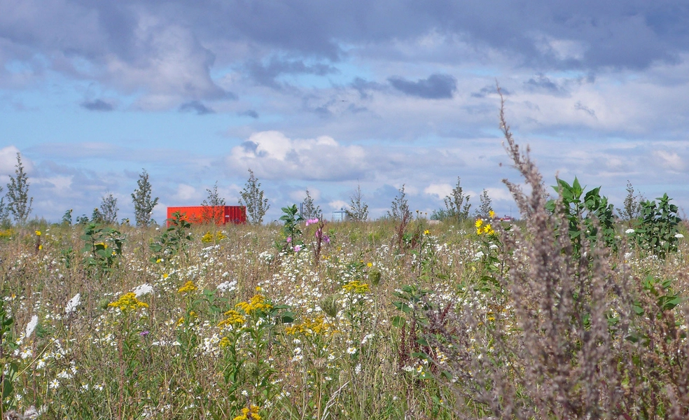 Plug N Play Container i engen