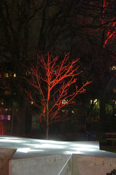 Kvarterpark Nord-Vest Natbillede, rødt lys på træ