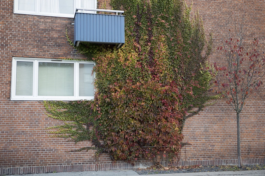 Nyrnberggården Facadeudsnit