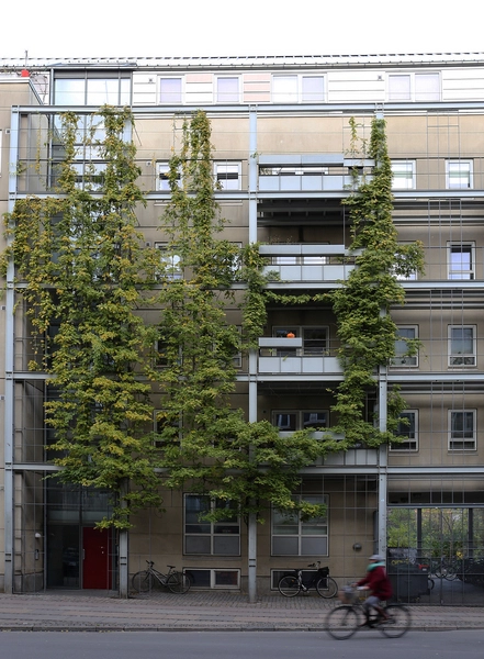 Boliger Guldbergsgade 4-6 og Nørre Allé 3 Indgangssituation