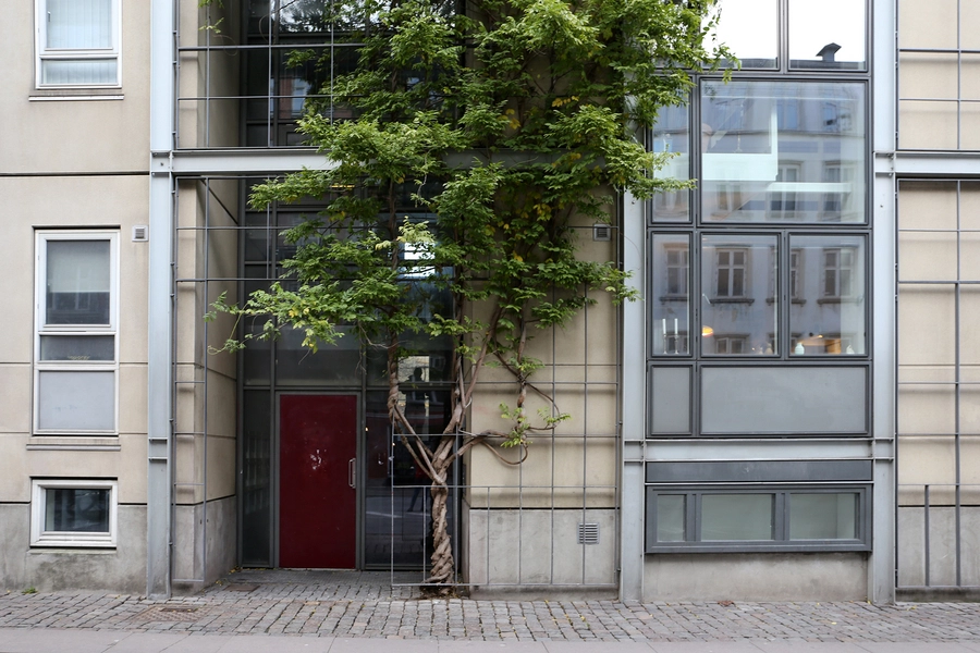 Boliger Guldbergsgade 4-6 og Nørre Allé 3 