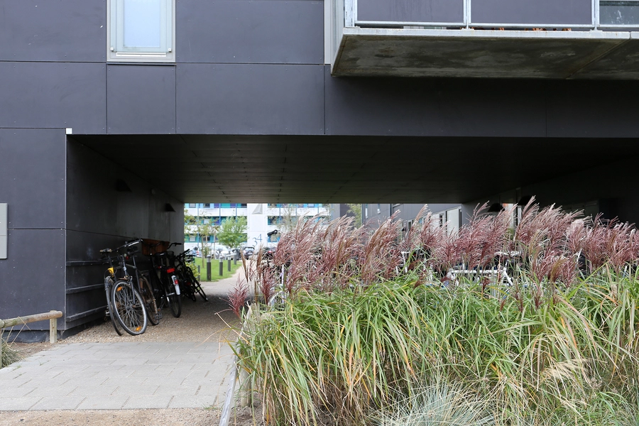 Hulgårds Have Portmotiv