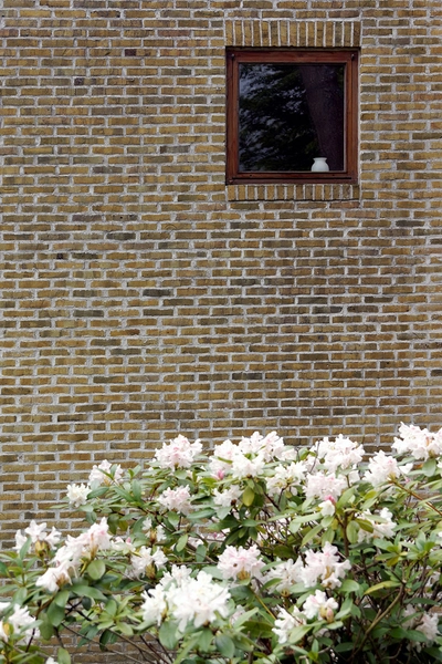 Exners Hus Detalje, vinduessætning