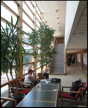 Aalborg Seminarium Fordelingsgang