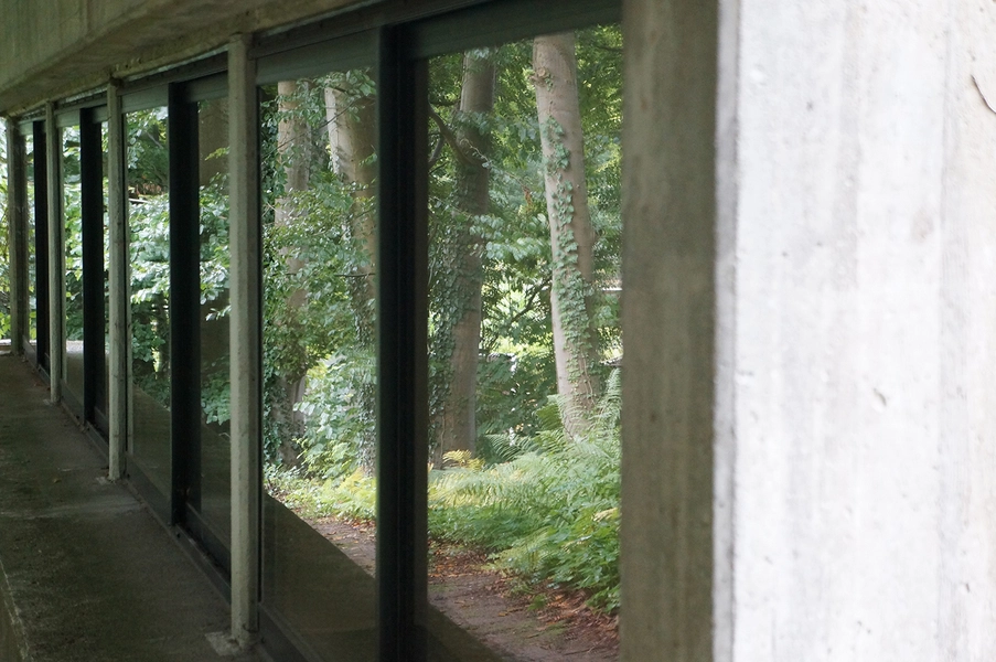 Knud Friis eget hus Facade med refleksion af træer