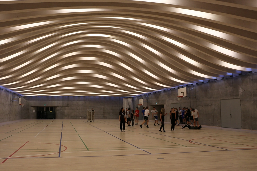 Multihal Gammel Hellerup Gymnasium Vy fra Kantinen