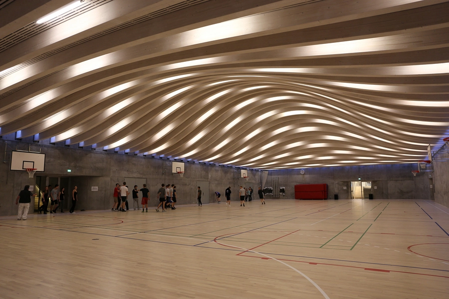 Multihal Gammel Hellerup Gymnasium 