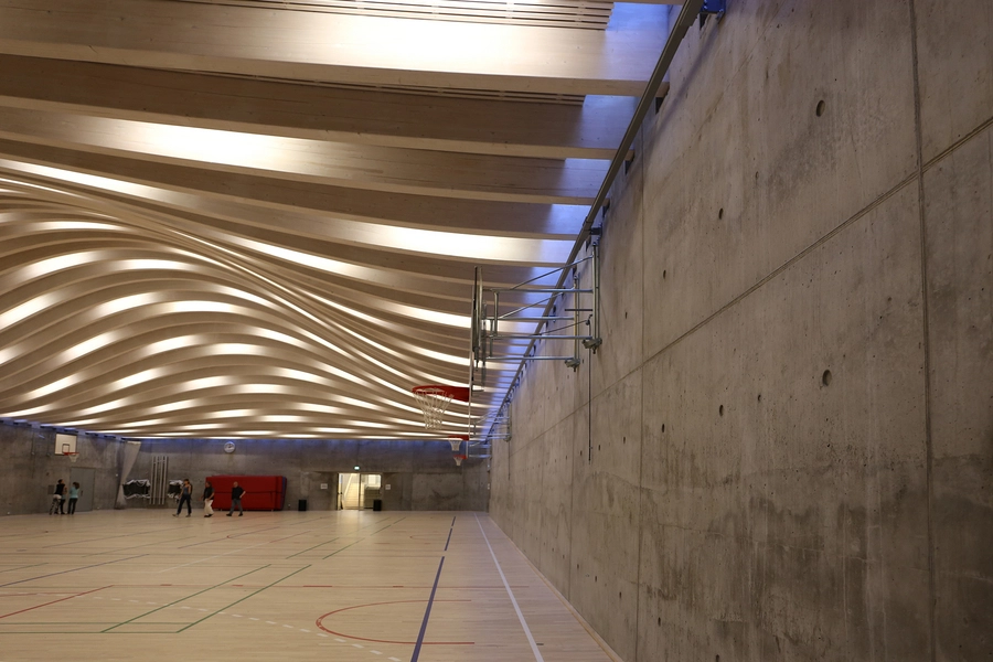 Multihal Gammel Hellerup Gymnasium Ovenlys