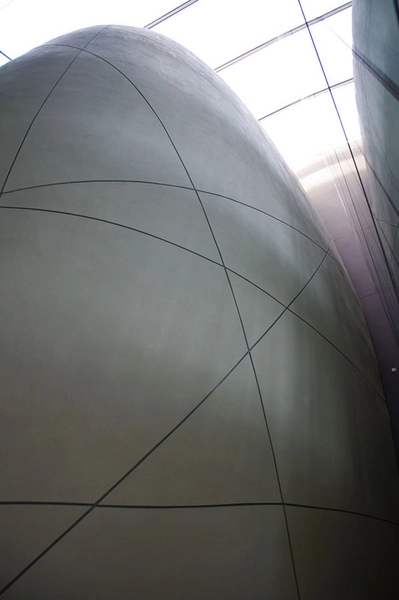 Darwin Centre Kokonen i glasrummet