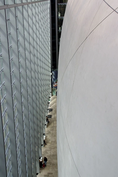 Darwin Centre Rummet mellem glasfacaden og beton-kokonen