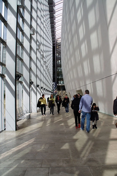 Darwin Centre Rummet mellem glasfacaden og beton-kokonen