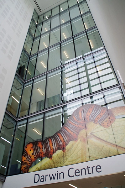 Darwin Centre Indgang til tilbygningen