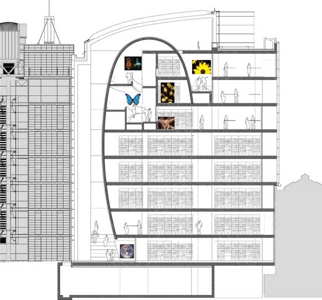 Darwin Centre Tværsnit
