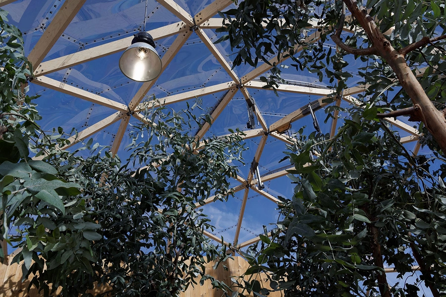 Dome Drivhus, planter