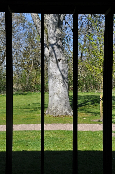 Nørre Vosborg Kig ud gennem lameller