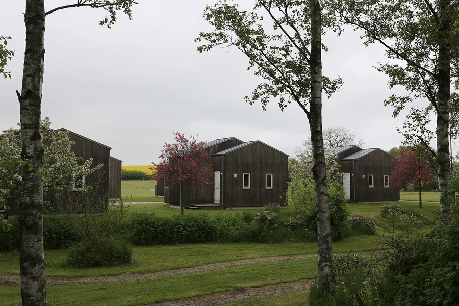Bøgebjerg Strand Campinghytter Bagved liggende grønning