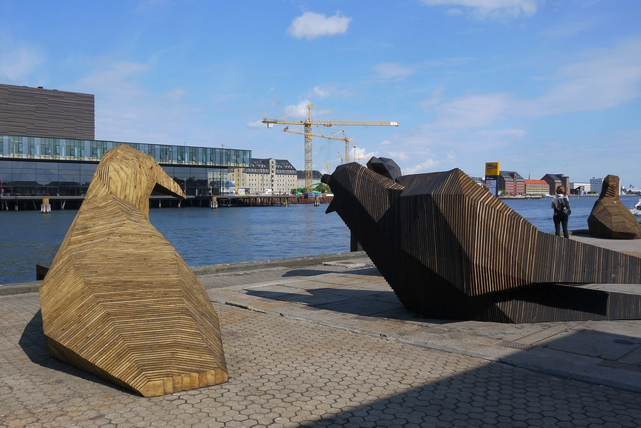 Svartbag byrum Fugle med Skuespilhuset i baggrunden