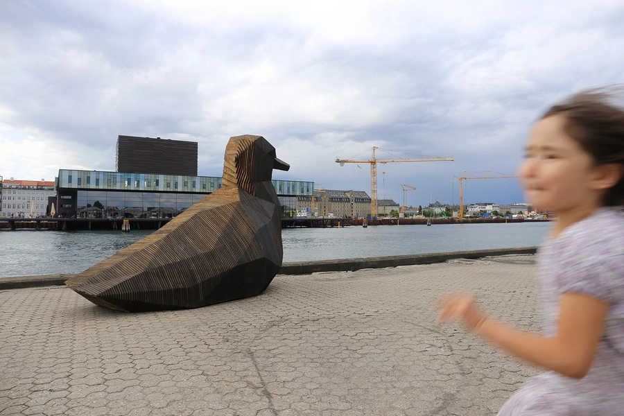 Svartbag byrum Fugl og skuespilhus