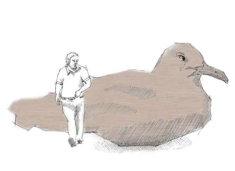 Svartbag byrum Illustration, konkurrence