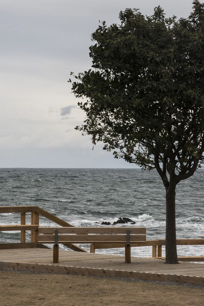 Folkemødets Forsamlingshus - under konstruktion Bænk og trædæk