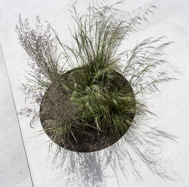 Biblioteket Rentemestervej Forplads Plantekummer