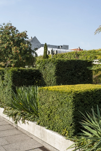 Amaliehaven Formklippet taksbusk