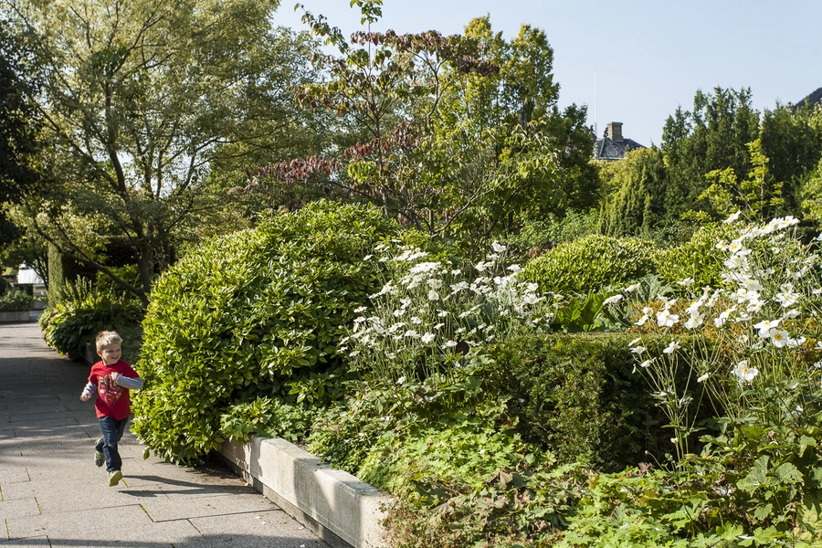 Amaliehaven Bed midt i haven med høstanemoner