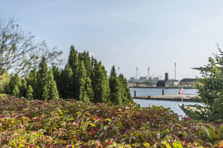 Amaliehaven Rådhusvin og udsigt over havnen