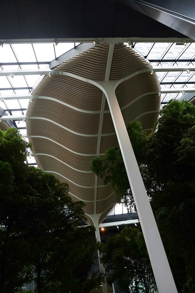 Crowne Plaza Copenhagen Towers Bladformede konstruktioner i limtræ i North Tower