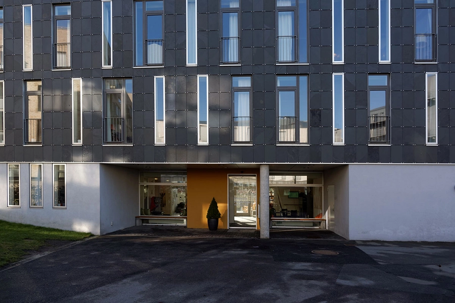 Ellipsen, Flintholm Plejeboliger Indgangssituation