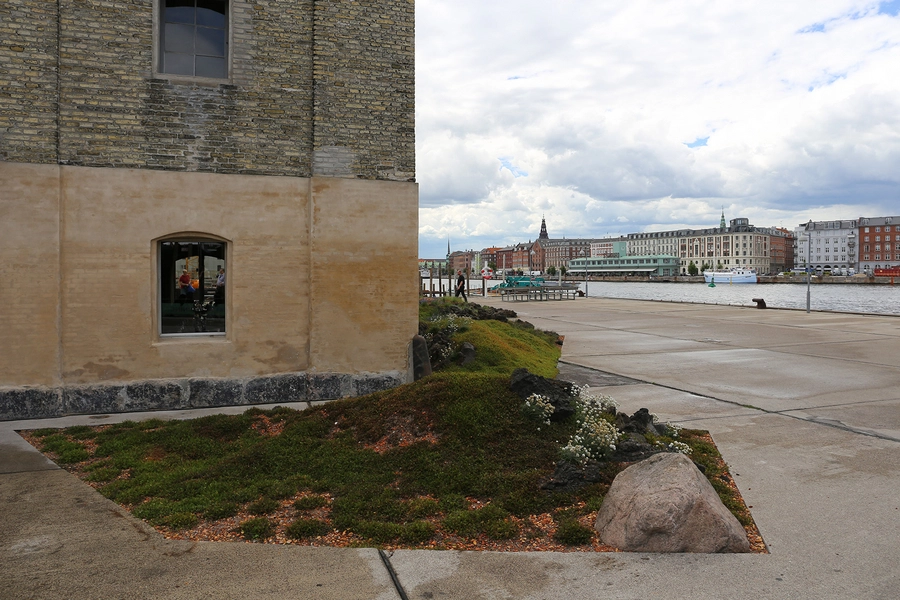 Noma byrum Udskæringer i betonbelægningen