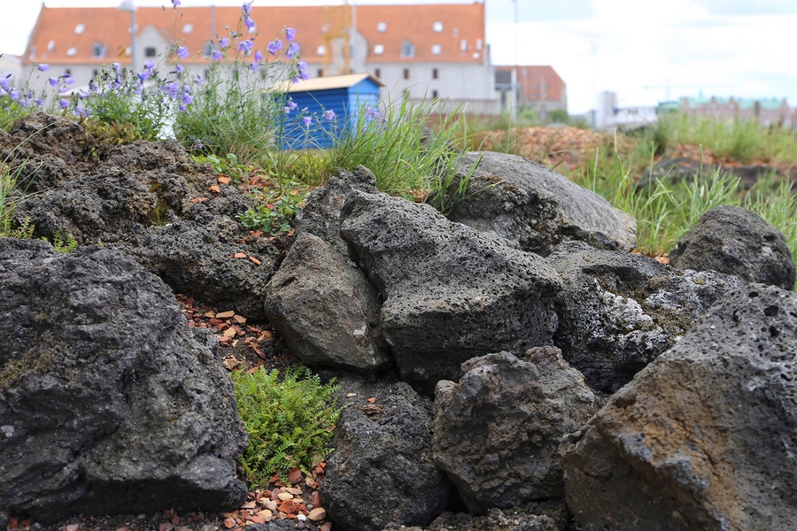 Noma byrum Bistade i lavalandskabet