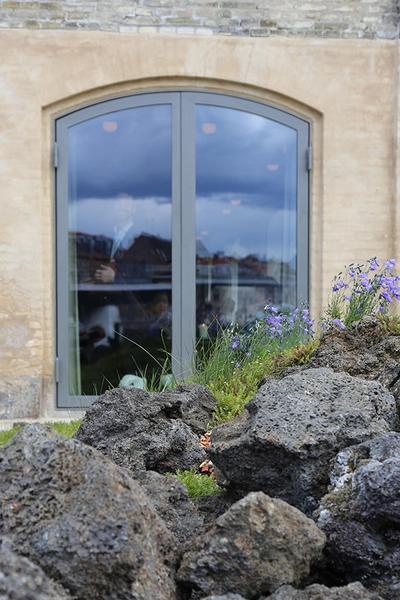 Noma byrum Vinduer med beplantning i forgrunden