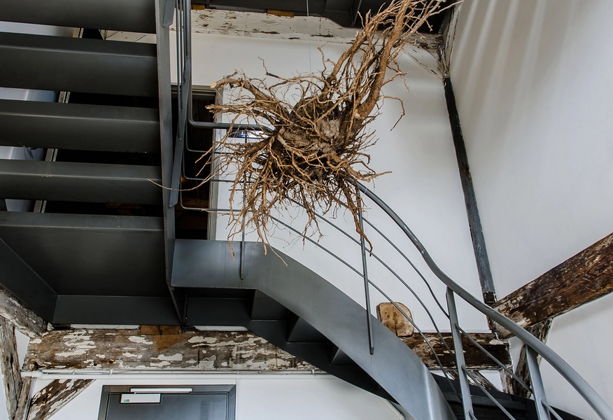 Noma & Noma Food Lab Trappe til Noma FoodLab