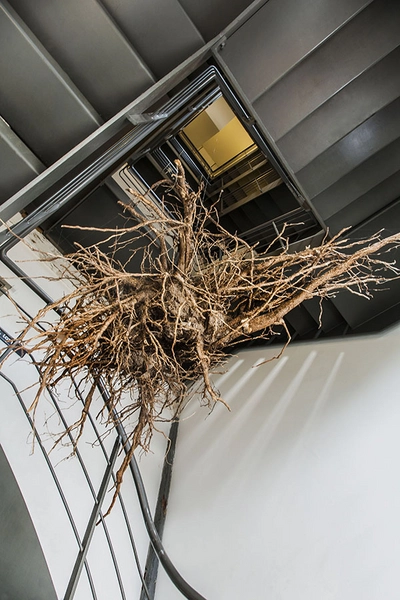 Noma & Noma Food Lab Trappeopgang