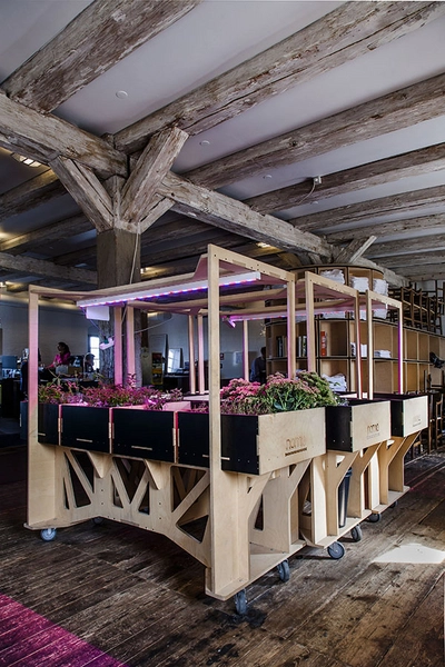 Noma & Noma Food Lab Noma FoodLab