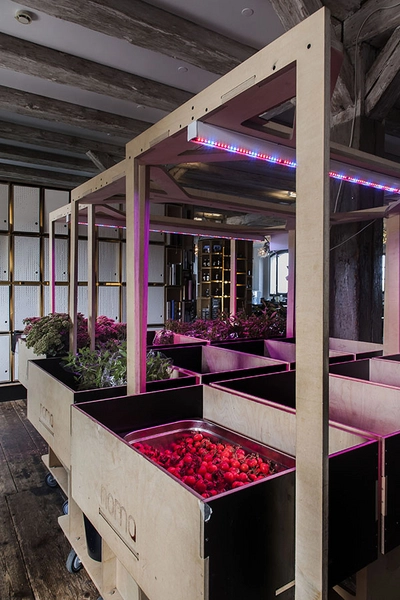 Noma & Noma Food Lab Noma FoodLab, plantekasser