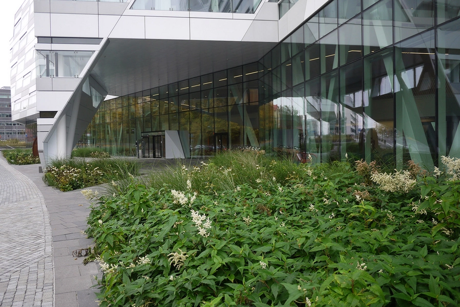 Swedbank hovedkontor Udkragning og beplantning