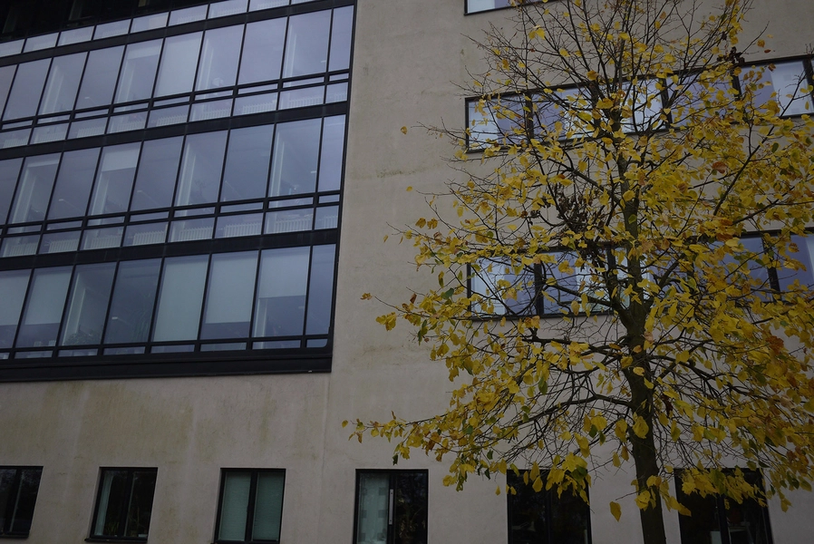 AlbaNova Glasparti og beplantning