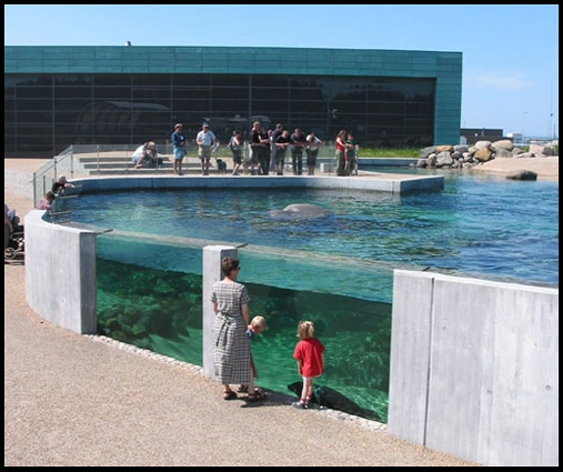 Nordsøen Oceanarium Bassin
