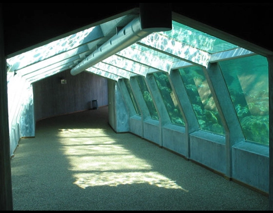 Nordsøen Oceanarium Gang