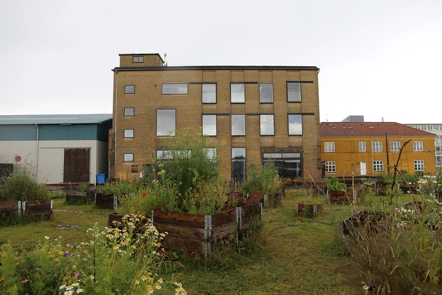 Refshaleøens Værkstedsmagasin og Amass restaurant Bygningen set fra vest, med Amass køkkenhave i forgrunden