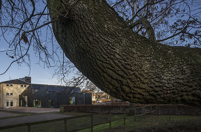 Allerød Bibliotek og Kulturhus Set fra skoven der grænser op til byggeriet
