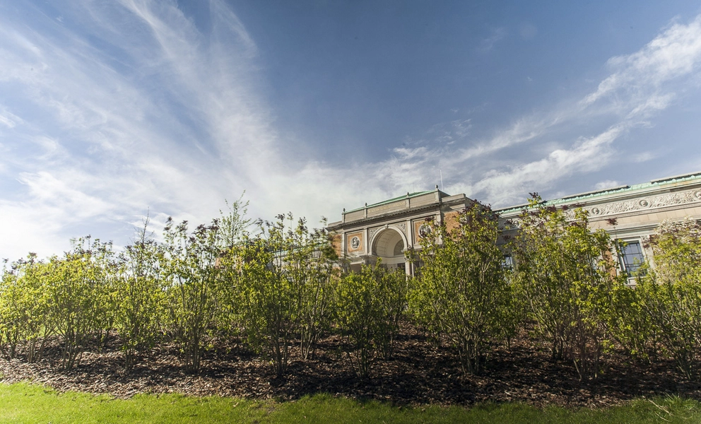 Museumshaven foran SMK Bakker og beplatning