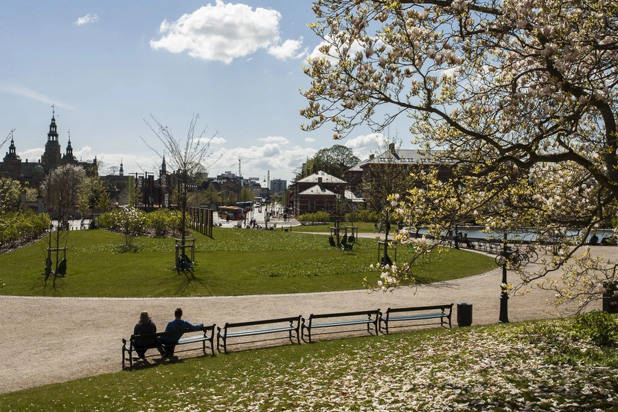Museumshaven foran SMK Bænke og magnolie