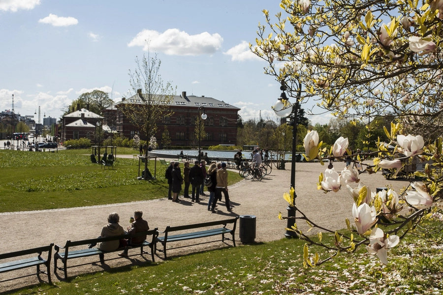 Museumshaven foran SMK Bænke og magnolie