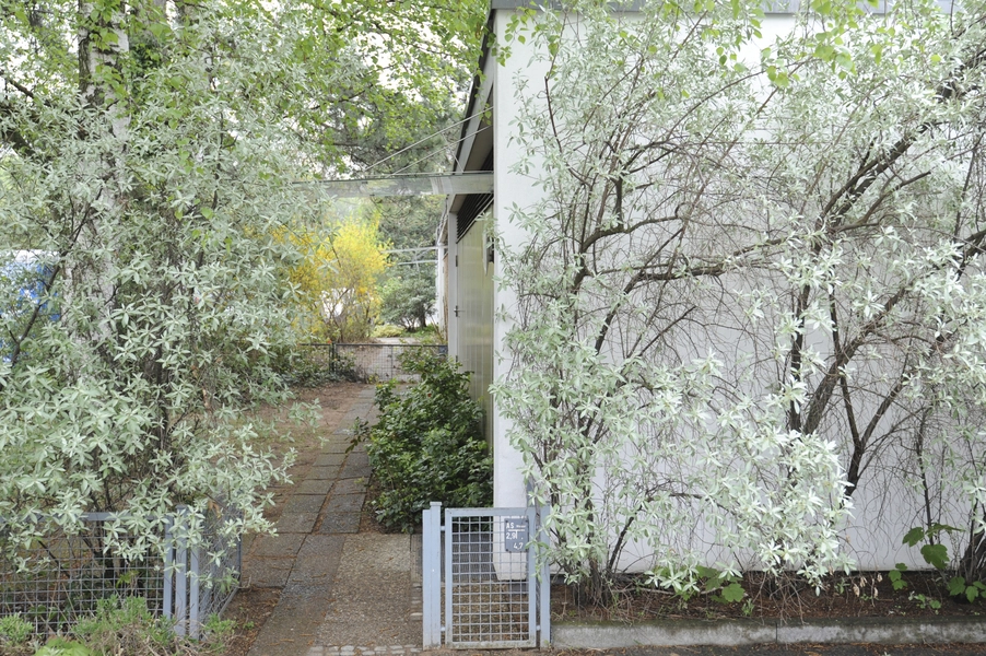 Häuser Jacobsen Set fra vest langs facaderne.