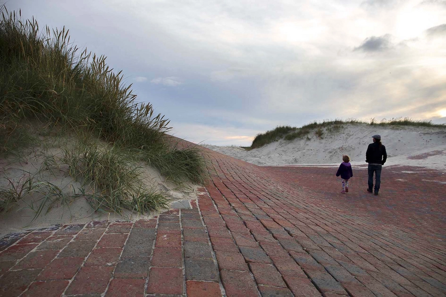 Vestled Teglfladen, kig mod vest